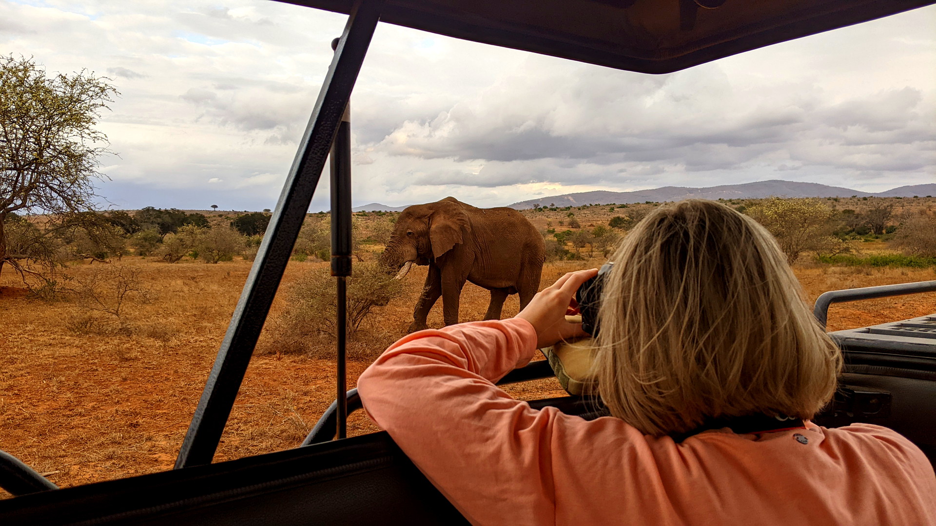 Kenia Safari Elefantenbulle Taita Hills Nationalpark Reiseblog Kenia