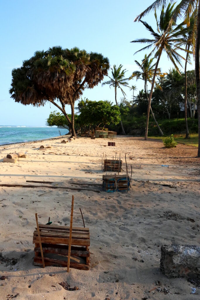 Kenia Diani Beach Strand Meeresschildkröten Nest Schützen