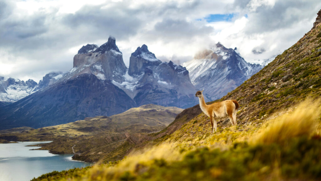 Beste Reiseziele im November Patagonien
