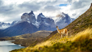 Beste Reiseziele im November Patagonien