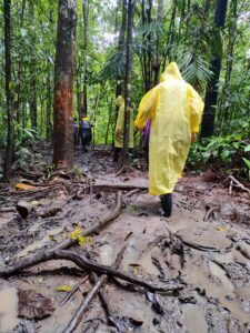 Tag 19 bis 21 - Zwischen Dschungel und Ozean im Corcovado Nationalpark 34
