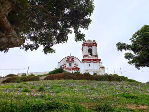 Tag 32 bis 42 - Unsere Reise nach Peru und das Fischerdorf Huanchaco 11