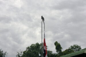 Tag 19 bis 21 - Zwischen Dschungel und Ozean im Corcovado Nationalpark 4