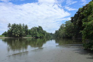 Tag 19 bis 21 - Zwischen Dschungel und Ozean im Corcovado Nationalpark 23