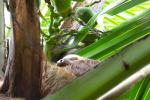 Tag 25 bis 31 - Unser neuer Happy Place 7