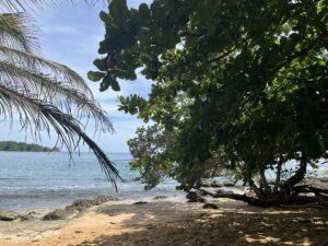 Tag 25 bis 31 - Unser neuer Happy Place 19