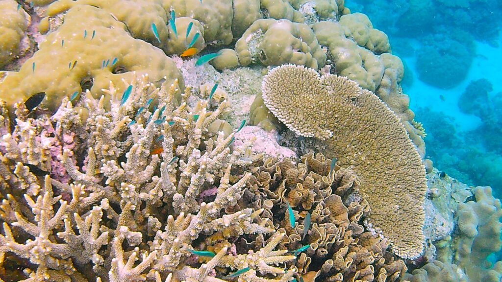 Tag 157 bis 164 – Weihnachten im Sommer – unser Start in Australien 9