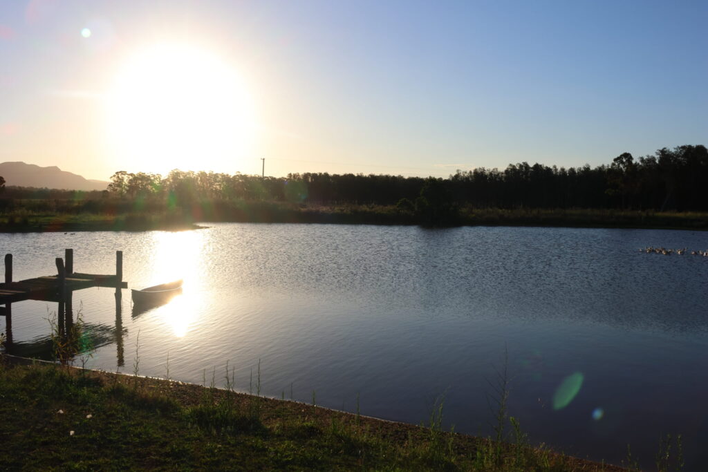 Tag 191 bis 192 – Australiens älteste Weinregion und wir mittendrin 1